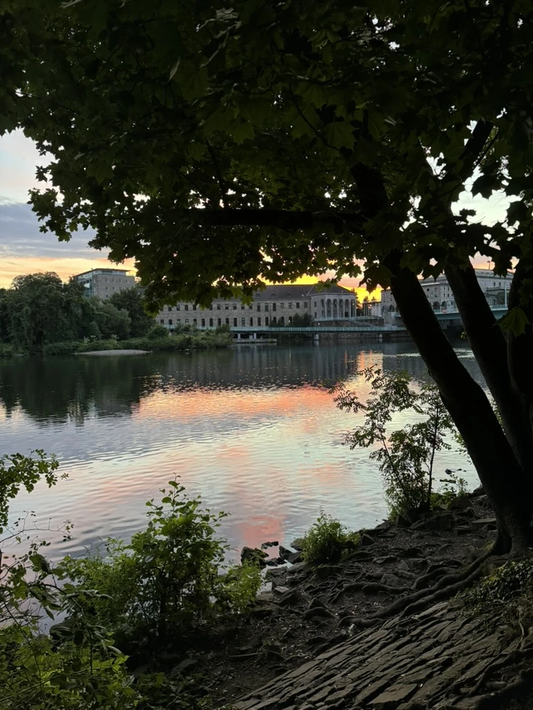 Blick vom baumbestandenen Ruhrufer auf Wasser und Gebäude in Mülheim